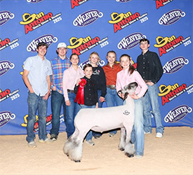 2nd Place
San Antonio Livestock Show