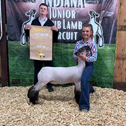 Reserve Champion Market LambMark Banbury Memorial Show